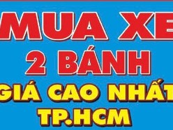 Chuyên Thu Mua Xe Máy Cũ Các Loại (Xe Ga, Xe Số, Xe Môtô, Xe Cầm Đồ)